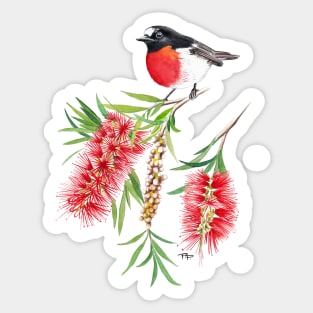 Scarlet Robin on Bottlebrush Flower Sticker